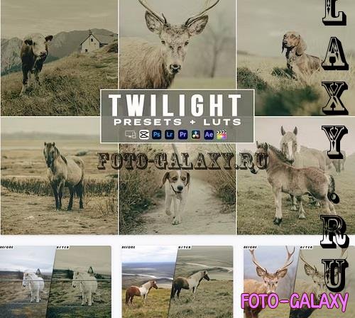 Twilight Lightroom Presets luts Video Premiere Pro - DKBH43J