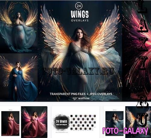 24 Angel wings maternity PNG overlays - D2ZZV6N