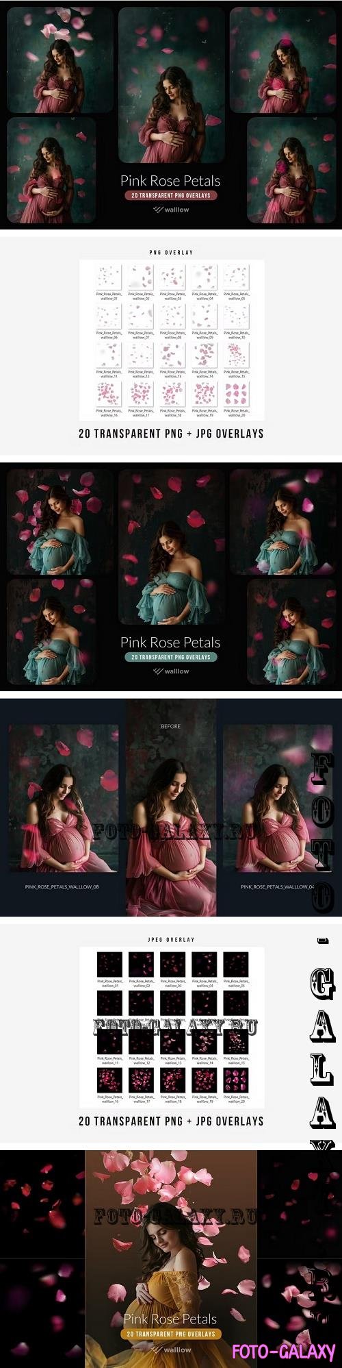 Pink rose flower petals transparent PNG overlays - H2RL8NN