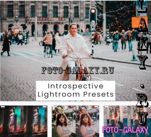 Introspective Lightroom Presets - MWBZYNH