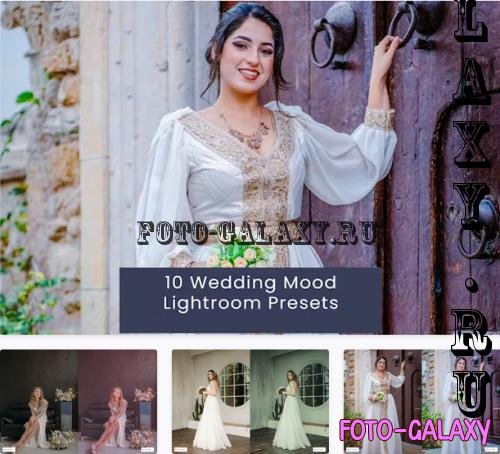 10 Wedding Mood Lightroom Presets - LTD6569