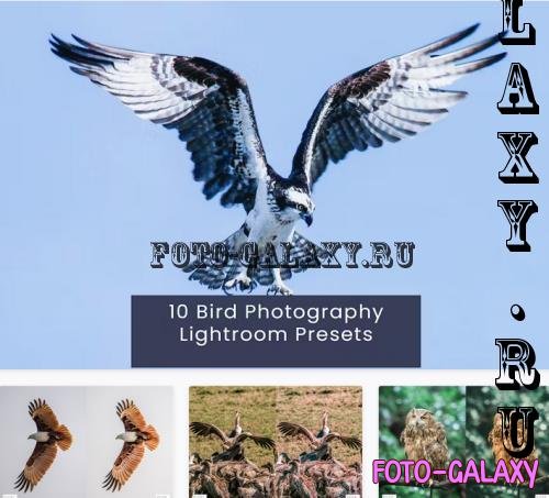 10 Bird Photography Lightroom Presets - NQ8CC2Y