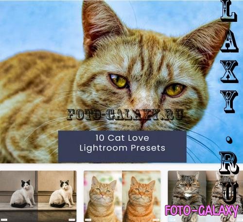 10 Cat Love Lightroom Presets - UD8F55B