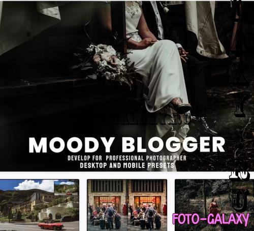 Moody Blogger - Desktop and Mobile Presets - EAE9TMV