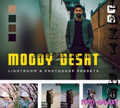 6 Moody Desrt Lightroom and Photoshop Presets - MYKX2D5