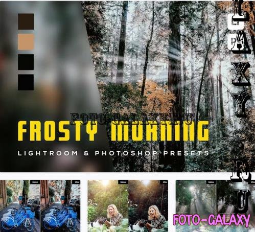 6 Frosty Morning Lightroom and Photoshop Presets - 4BEPVZC
