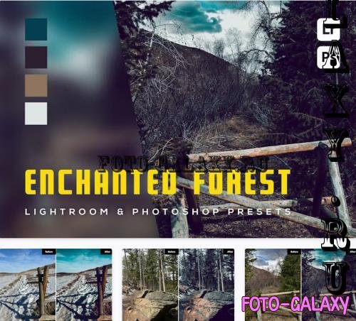 6 Enchanted Forest Lightroom and Photoshop Presets - PMJVK3U