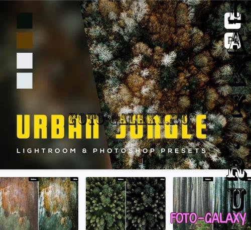 6 Urban Jungle Lightroom and Photoshop Presets - NPV4RJT