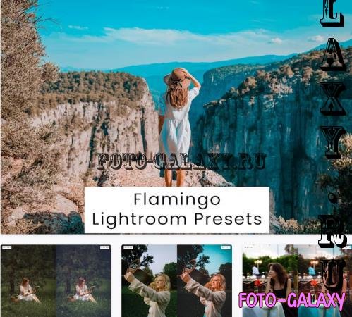 Flamingo Lightroom Presets - NQ24PCZ