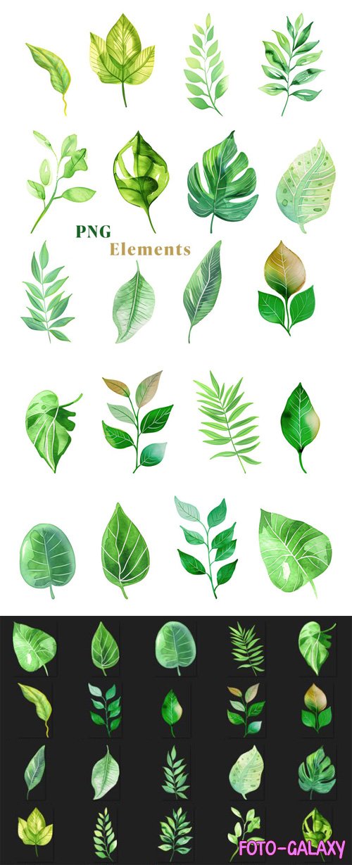 20 Watercolor Botanical Leaves