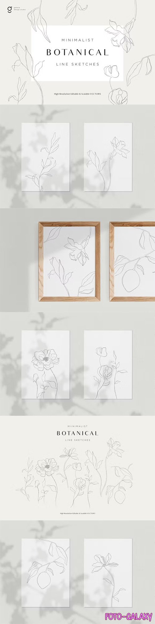 Minimalist Botanical Line Sketches for Illustrator