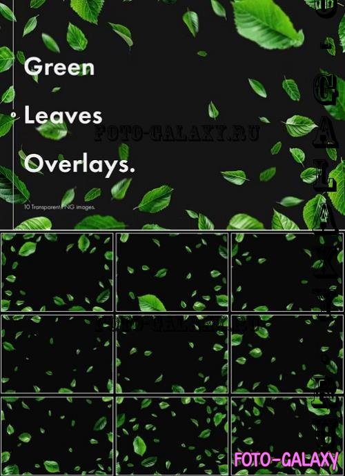 Green Leaves Overlays - MG3K5QW