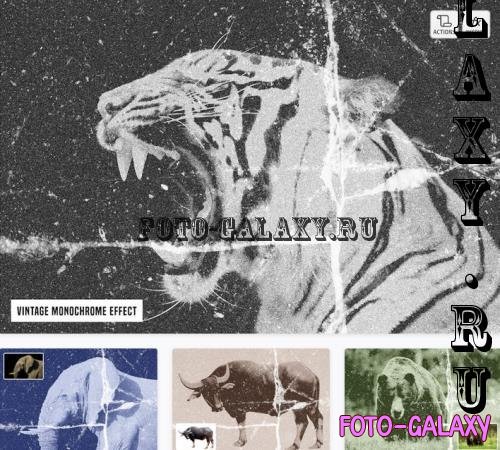 Vintage Monochrome Photo Effect - LMGFV4J