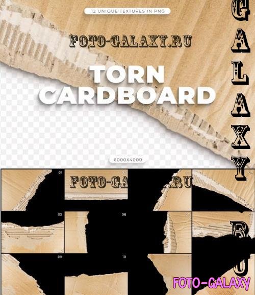 12 Torn Cardboard Textures - QD8MV9S