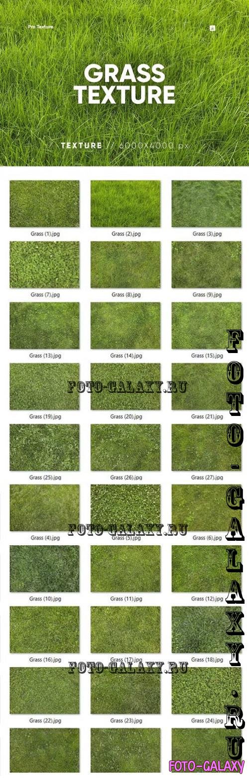 30 Grass Texture HQ - 279728282