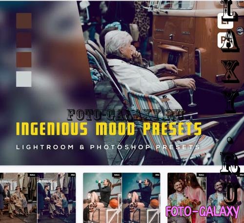 6 Ingenious Mood Presets Lightroom Presets - PTWNBW7