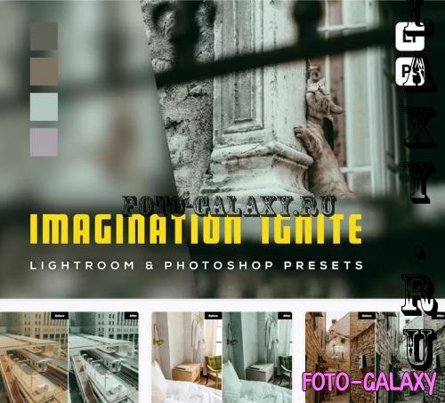 6 Imagination Ignite Lightroom Presets - T9UFXRH