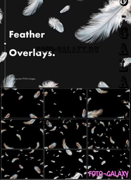 Feather Overlays - 9BQ2DLC