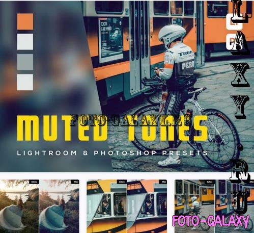 6 Muted Tones Lightroom and Photosop Presets - FRMG7MN