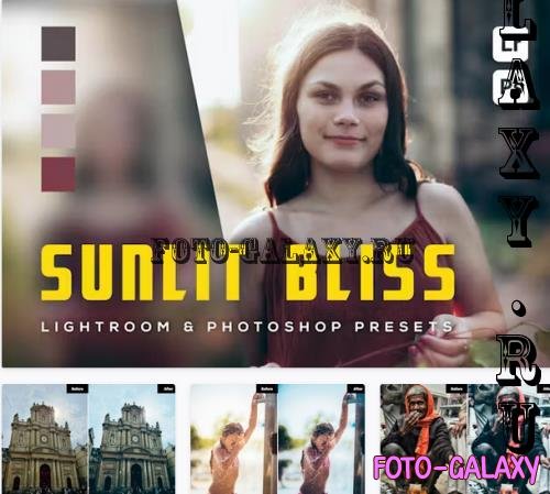 6 Sunlit Bliss Lightroom and Photoshop Presets - MKFX8LN