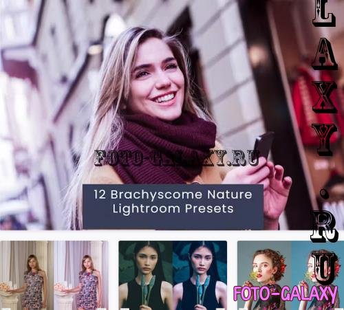 12 Brachyscome Nature Lightroom Presets - 49HT3SH