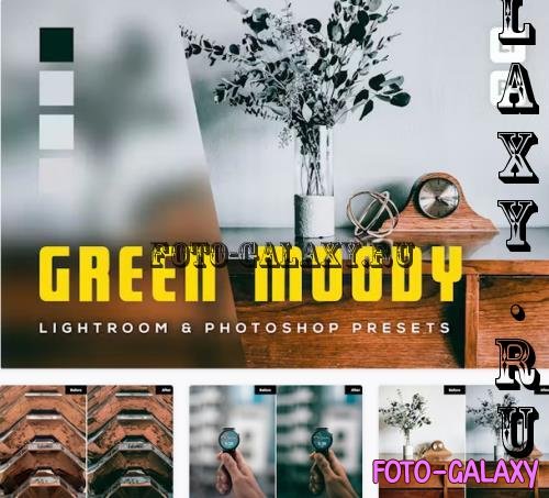 6 Green Moody Lightroom and Photoshop Presets - DZU6F39