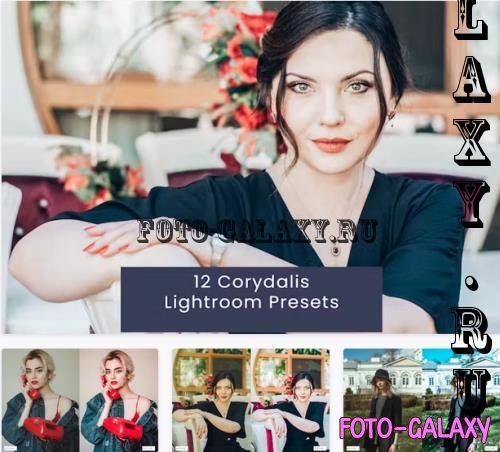 12 Corydalis Lightroom Presets - PGXQDT6