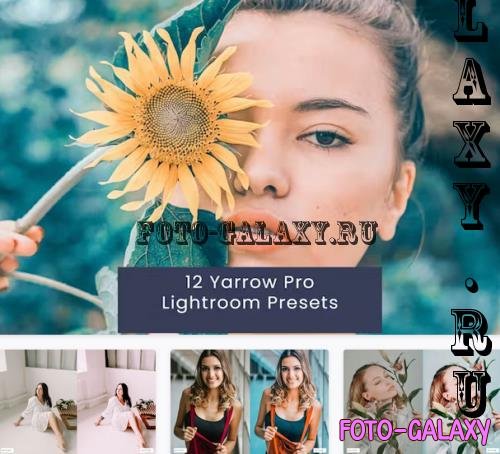 12 Yarrow Pro Lightroom Presets - YLU6692