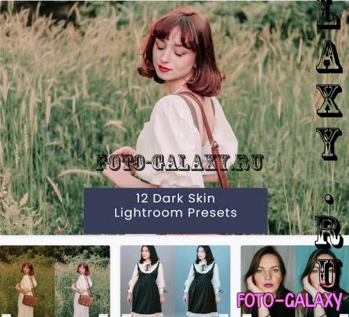 12 Dark Skin Lightroom Presets - TSS7NP8