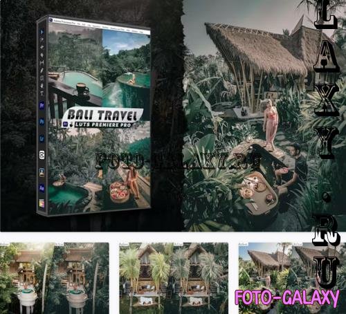 Bali Travel Presets - luts Videos Premiere Pro - L9987BQ