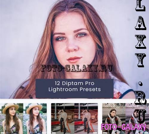 12 Diptam Pro Lightroom Presets - A52VKZB