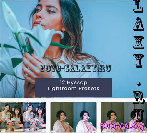 12 Hyssop Lightroom Presets - 9634Y8F