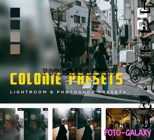 6 Colonie Presets Lightroom and Photoshop Presets - 9AC73VK