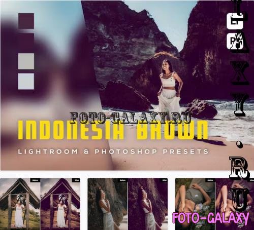 6 Indonesia Brown Lightroom and Photoshop Presets - TBU4CLY