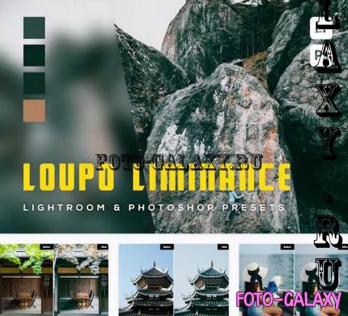 6 Loupo liminance Lightroom and Photoshop Presets - 2HKRAHC