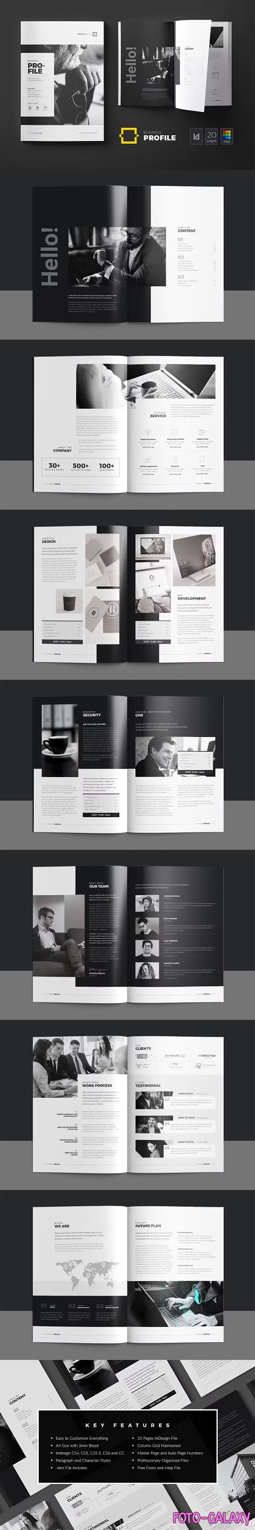 Business Profile Brochure InDesign Template