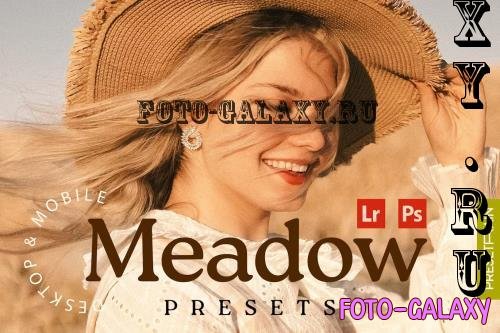 Meadow Lightroom Presets - 281742360