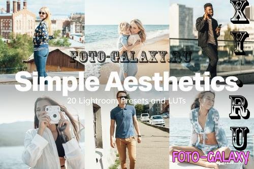 20 Simple Aesthetics Lightroom Prese - 281702871