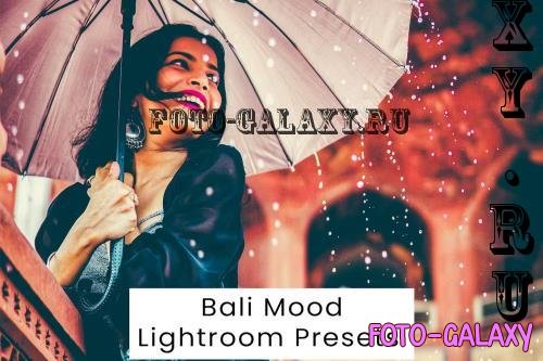 Bali Mood Lightroom Presets - AJKDCNK