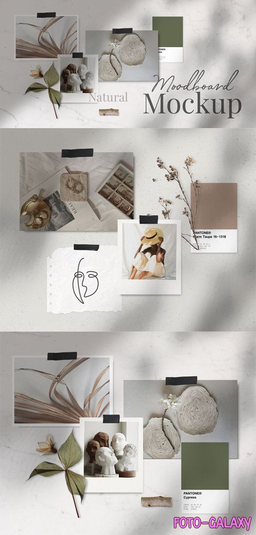 Natural Moodboard PSD Mockup Templates