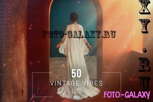 50 Vintage Vibes LUTs Pack - 281823306