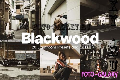 20 Blackwood Lightroom Presets LUTs - 283079253