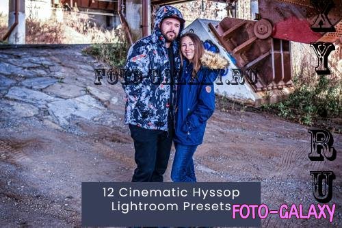 12 Cinematic Hyssop Lightroom Presets - 9W5S3NJ