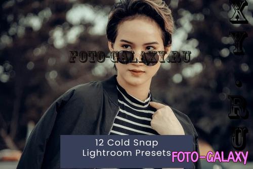 12 Cold Snap Lightroom Presets - QXGZQ8N