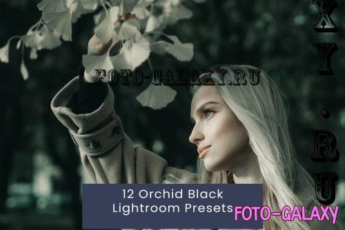 12 Orchid Black Lightroom Presets - 8LQ65DU