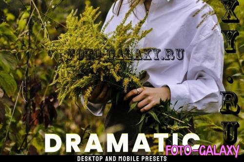 Dramatic - Desktop and Mobile Presets E9RJS8D