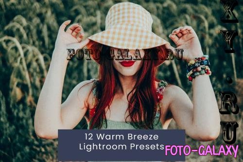 12 Warm Breeze Lightroom Presets BXY2Z8E