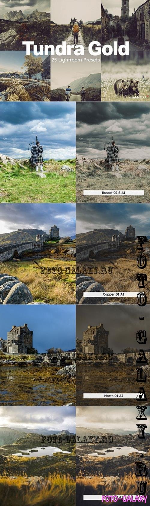 20 Tundra Gold Lightroom Presets LUT - 283913618