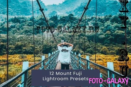 12 Mount Fuji Lightroom Presets - 7TGBE6C