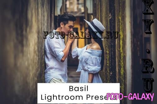 Basil Lightroom Presets - U2MFB2S